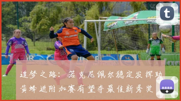 追梦之路：若克尼佩尔稳定发挥助黄蜂进附加赛有望夺最佳新秀奖